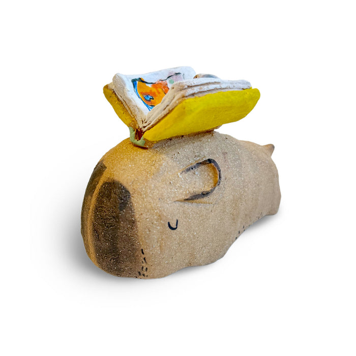 Alyson Iwamoto: Capybara & Hamster Friends Adventures