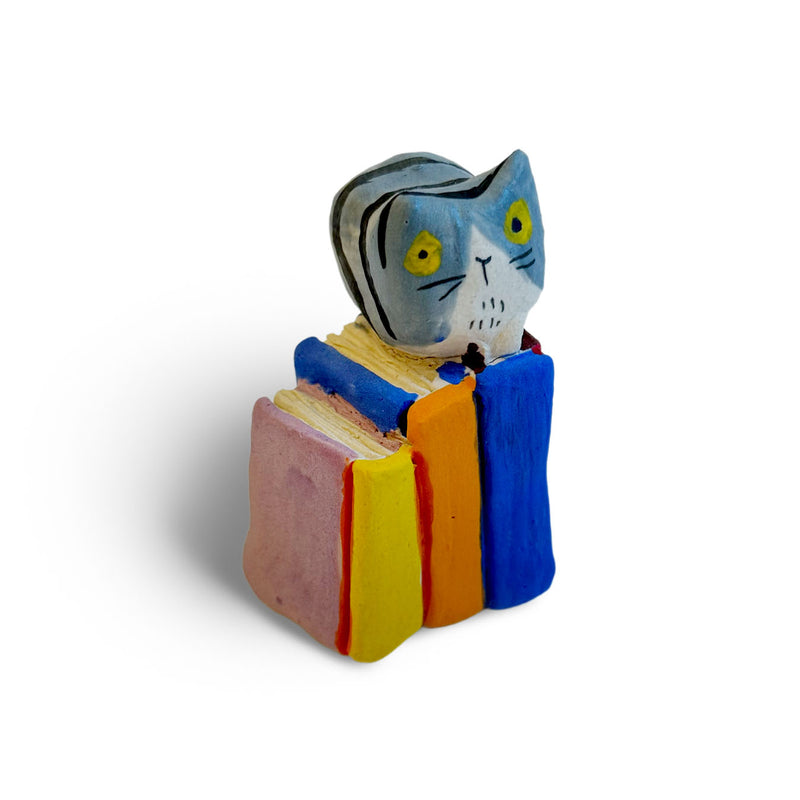 Alyson Iwamoto: My Cat & Books