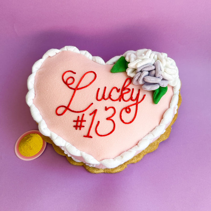 Janie XY: Lucky #13