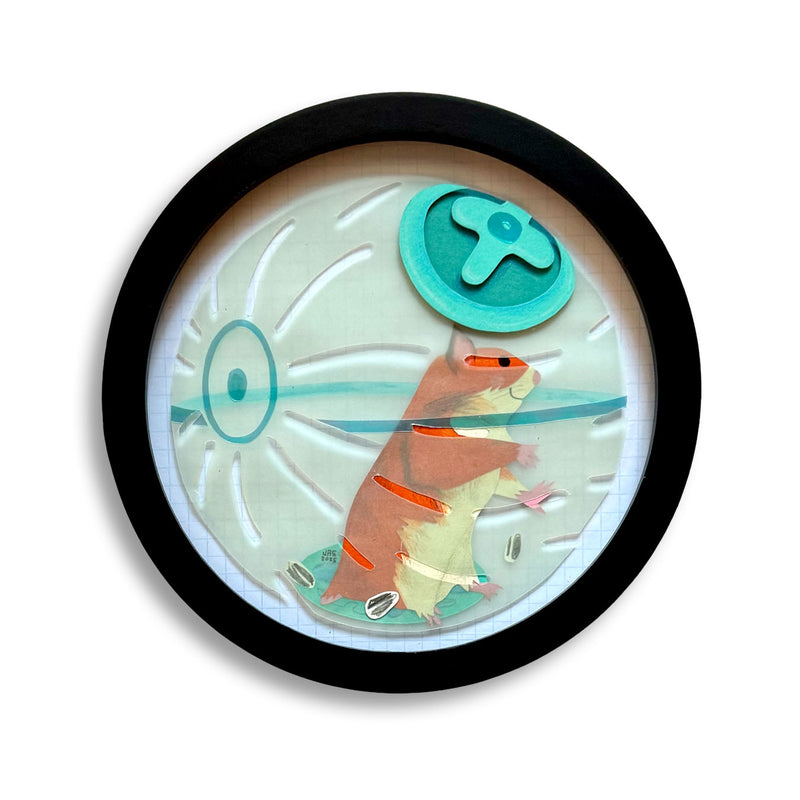 Jared Andrew Schorr: BALL TIME!