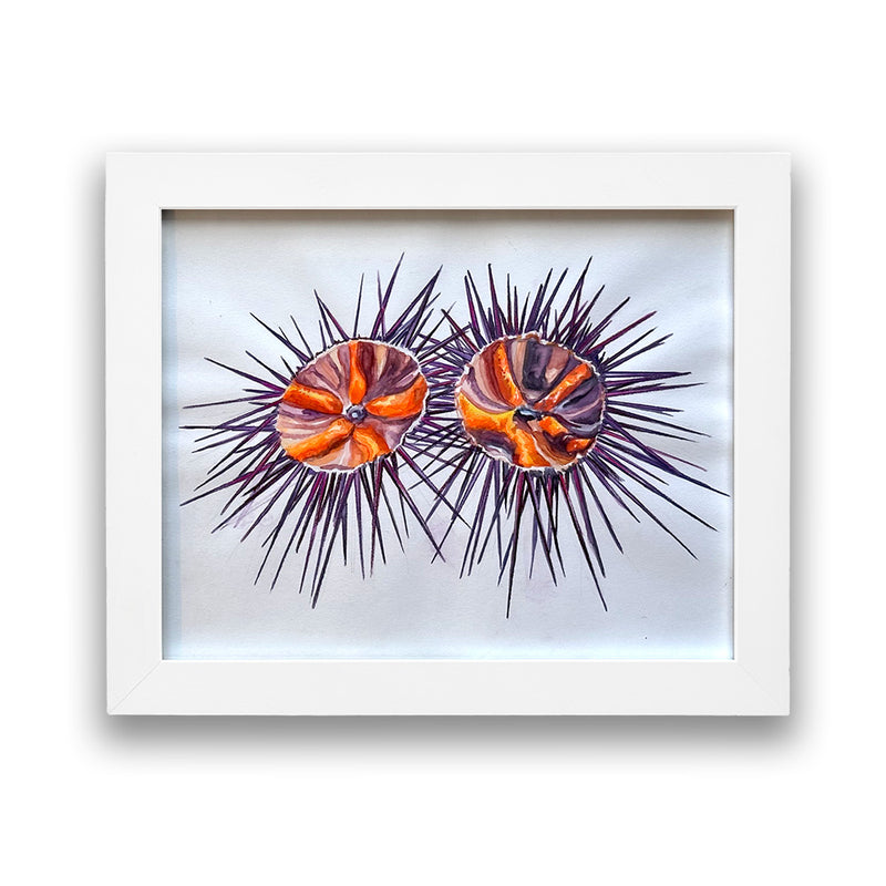 Julia Wolinsky: Sea Urchins