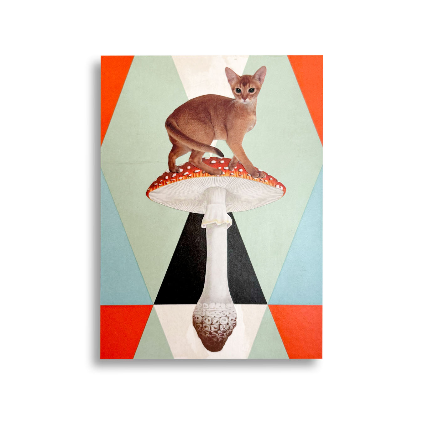 Maureen Shields: Amanita Muscaria