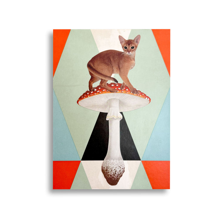 Maureen Shields: Amanita Muscaria