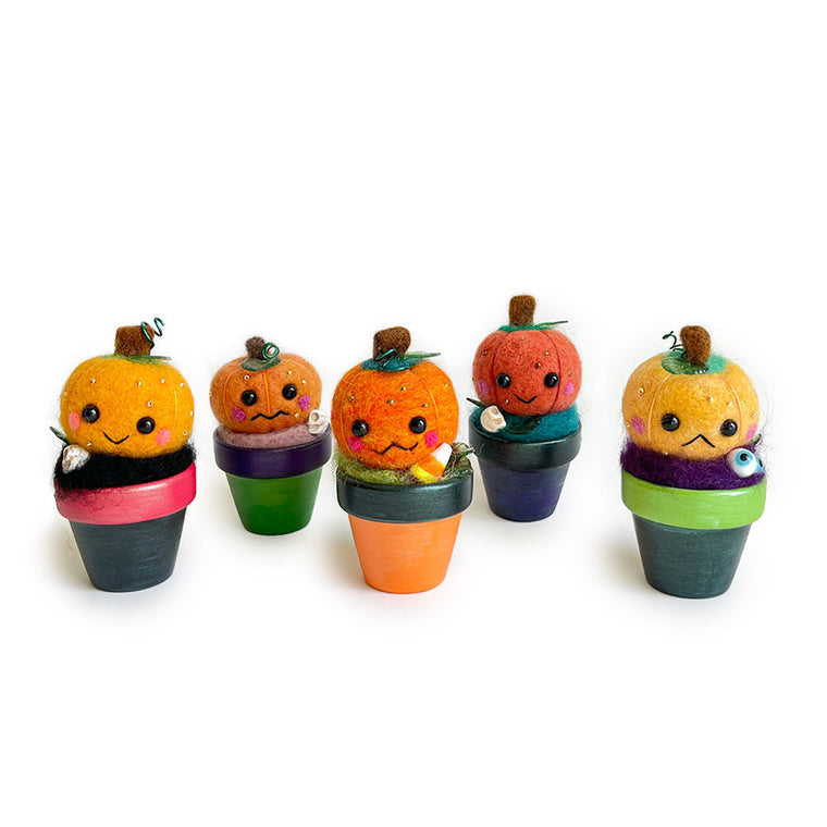 Aluminum Bunny: Assorted Needle Felted Potted Pumpkins