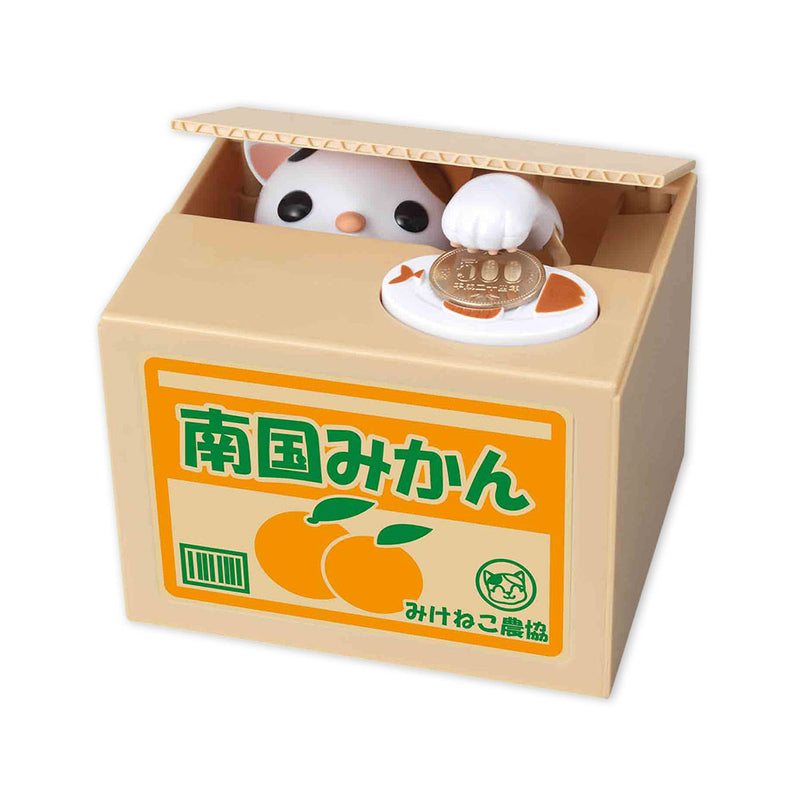 Cat in Box Bank