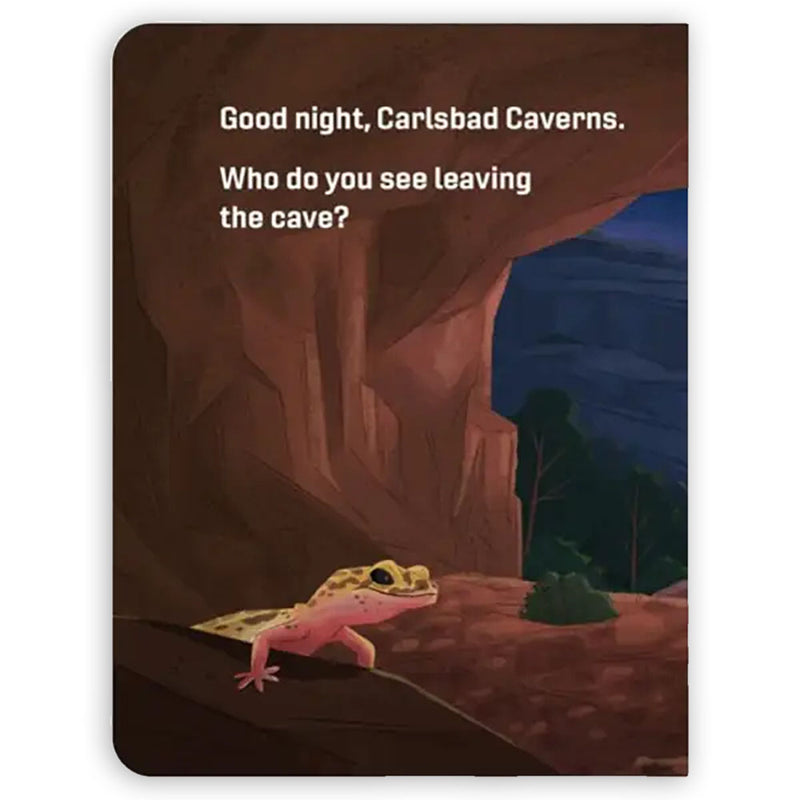 Good Night, National Parks