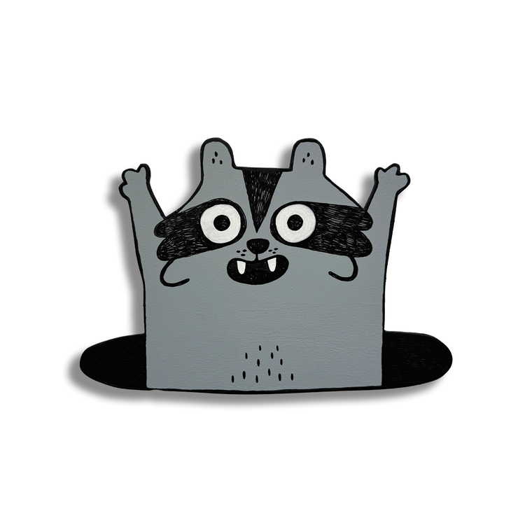 Gemma Correll: Hello Raccoon