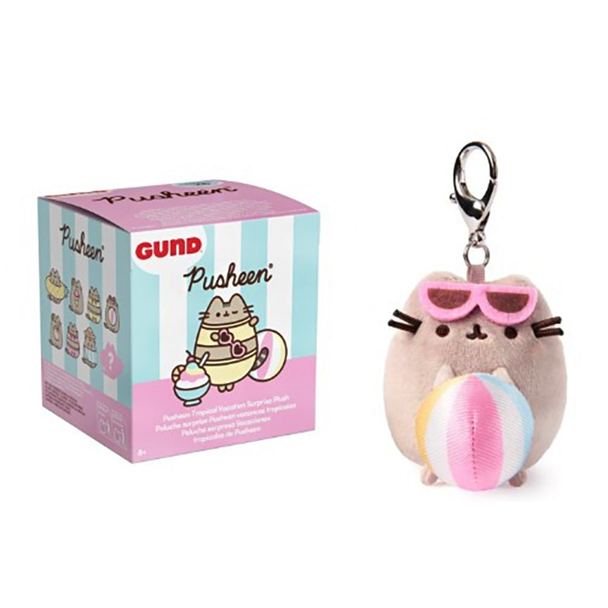 Pusheen the cat collectible keychain charm shown next to its branded blind box. The plush keychain features Pusheen wearing pink sunglasses and holding a pastel striped beach ball, attached to a silver metal clasp.