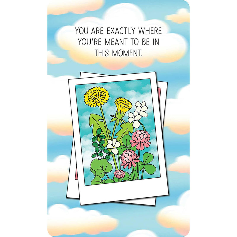 Take What You Need Affirmation Deck