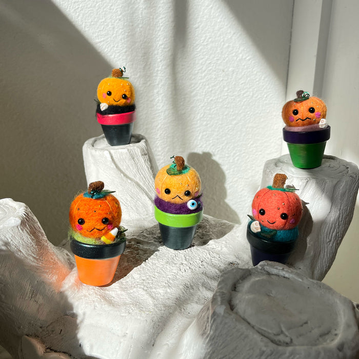Aluminum Bunny: Assorted Needle Felted Potted Pumpkins