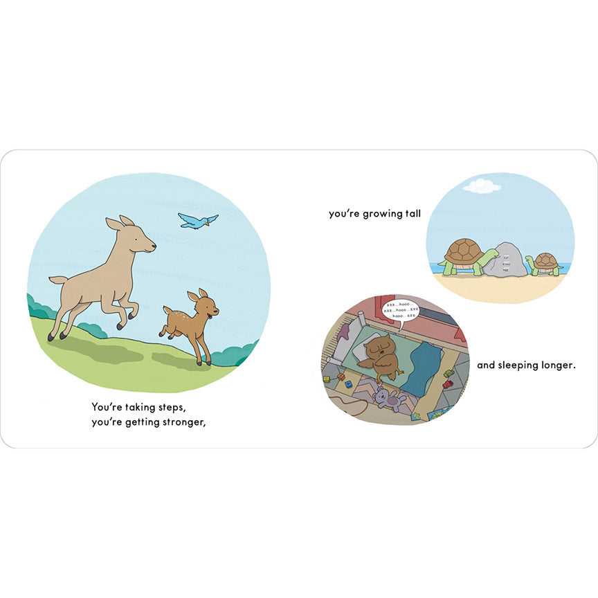 Three illustrations; one of a deer and fawn running in a field, one of an owl sleeping in bed, and the third of two turtles measuring their height against a rock.