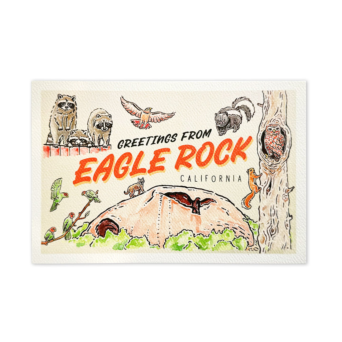 Urban Wildlife of Eagle Rock Postcard - Leanna Lin's Wonderland
