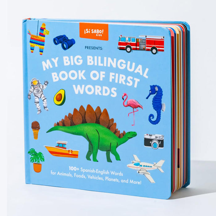 Big Bilingual Book of First Words (Bilingual Spanish)