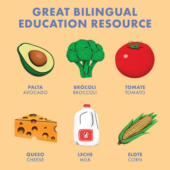 Big Bilingual Book of First Words (Bilingual Spanish)