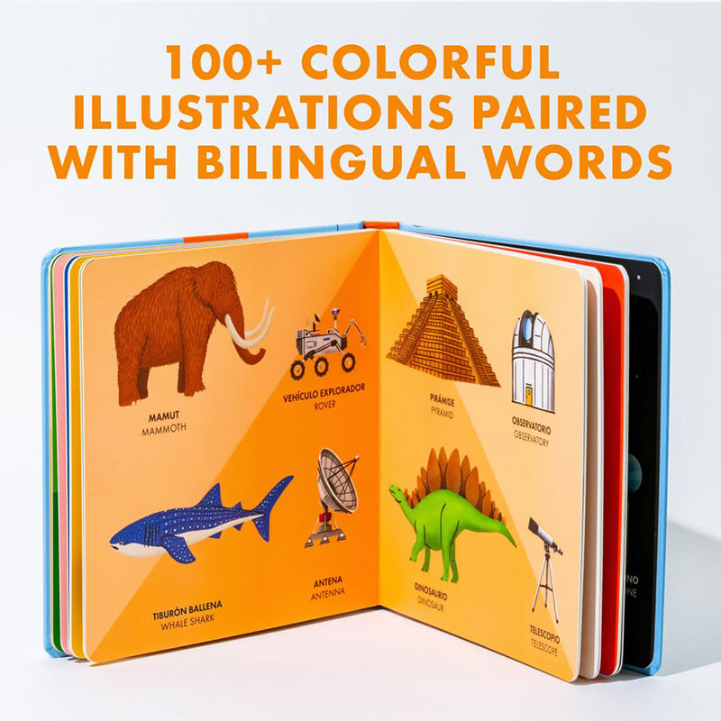 Big Bilingual Book of First Words (Bilingual Spanish)