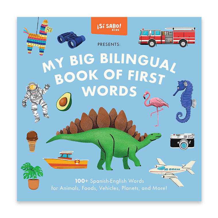 Big Bilingual Book of First Words (Bilingual Spanish)