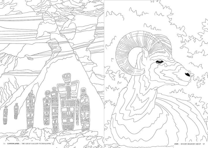 The National Parks Coloring Book