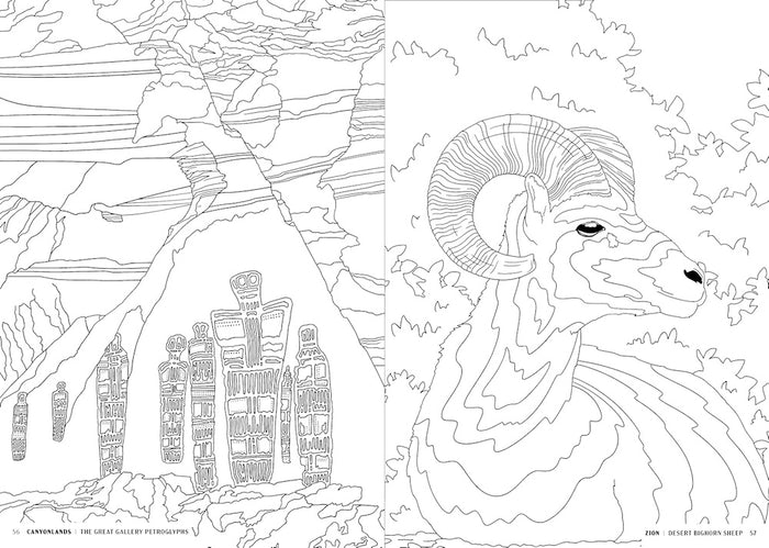The National Parks Coloring Book