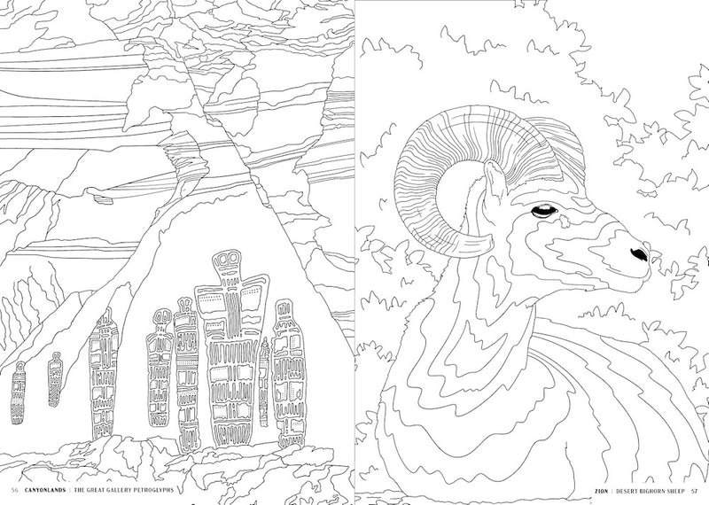 The National Parks Coloring Book