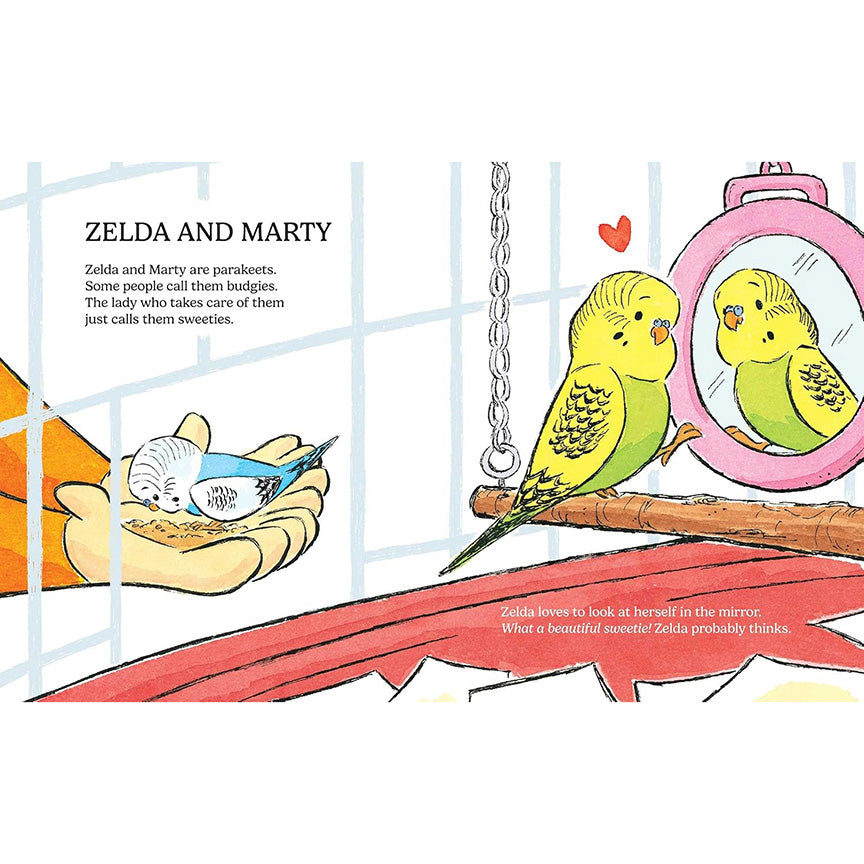 Inside page from book "small pets" depicting two parakeets, one looking at  itself in a mirror in a cage and one outside the cage eating out of it&