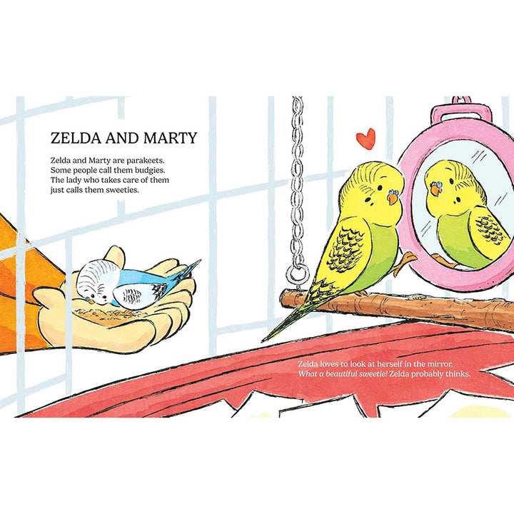 Inside page from book "small pets" depicting two parakeets, one looking at  itself in a mirror in a cage and one outside the cage eating out of it&
