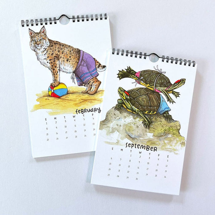 Animals in Swimsuits 2026 Wall Calendar