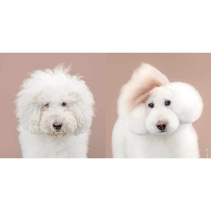 Puppy Styled (Signed by Grace Chon)