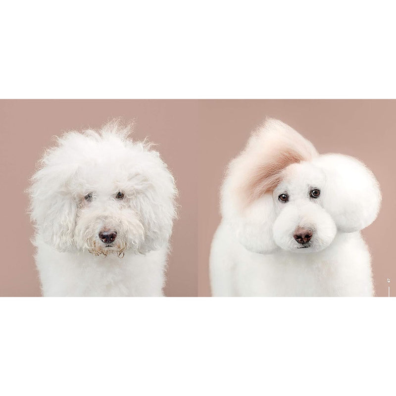 Puppy Styled (Signed by Grace Chon)