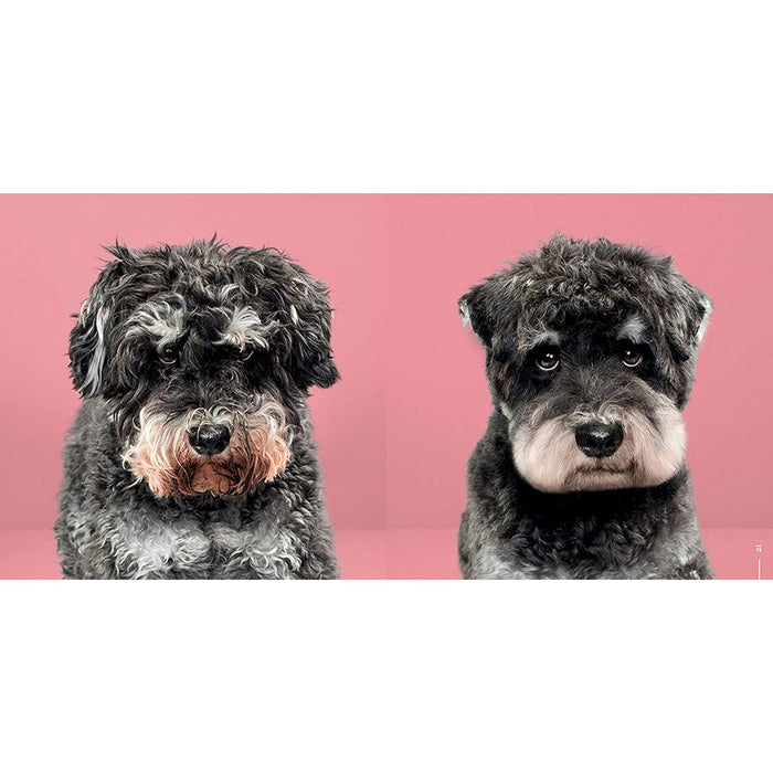 Puppy Styled (Signed by Grace Chon)