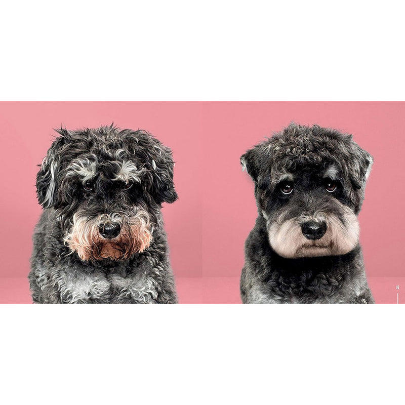 Puppy Styled (Signed by Grace Chon)