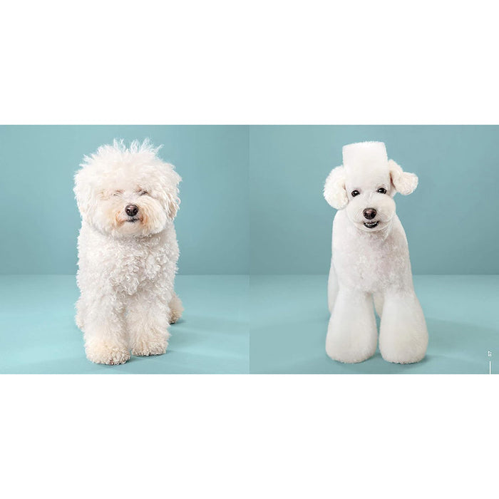 Puppy Styled (Signed by Grace Chon)