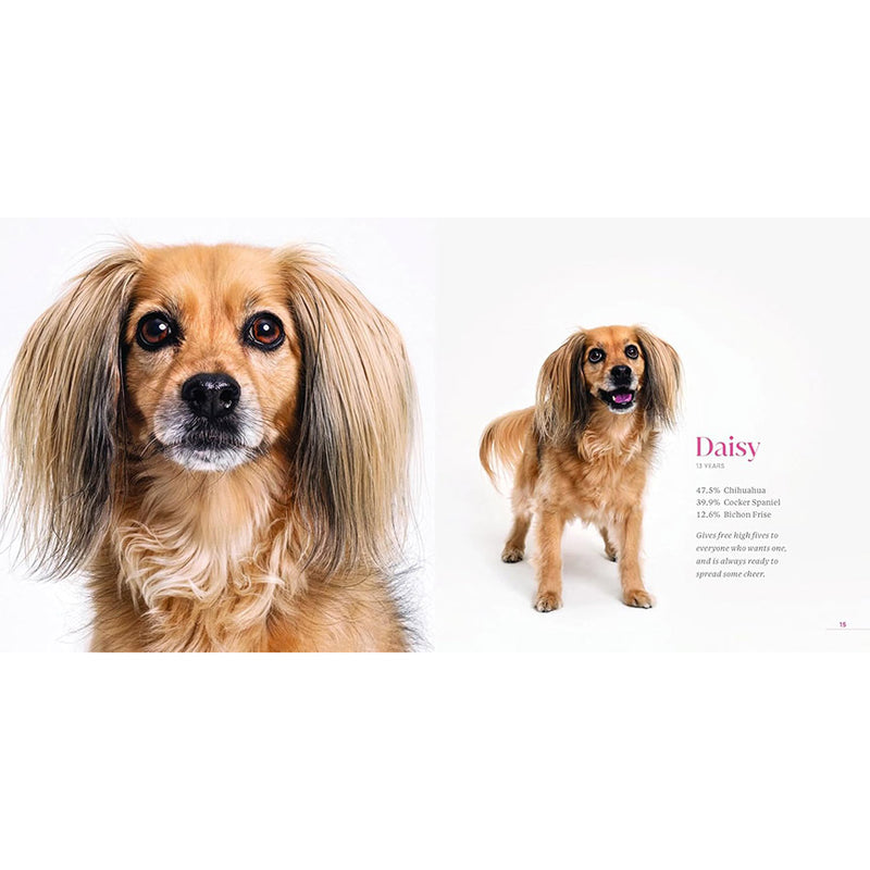 What Kind of Dog is That? (Signed by Grace Chon)