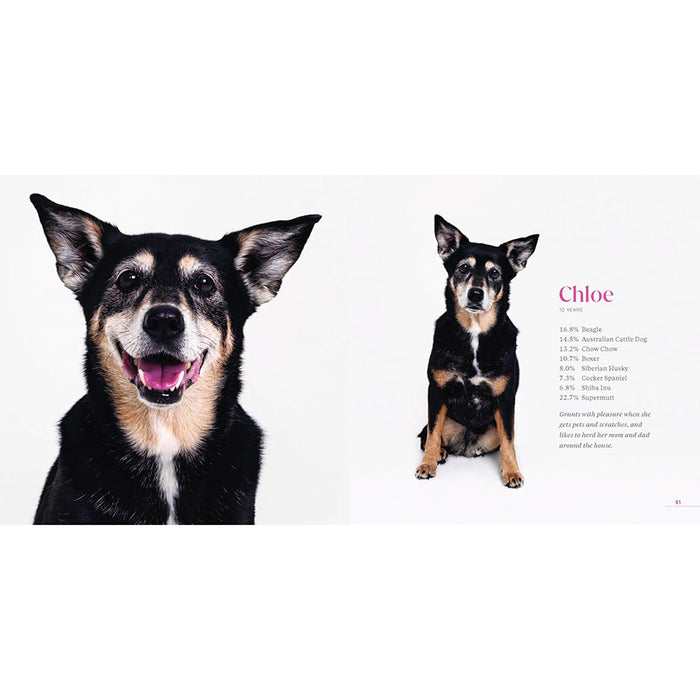 What Kind of Dog is That? (Signed by Grace Chon)