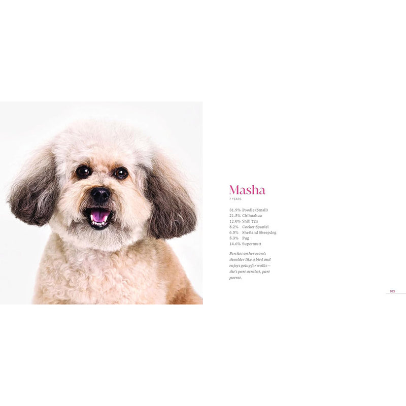 What Kind of Dog is That? (Signed by Grace Chon)