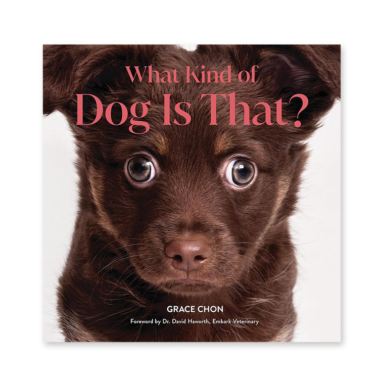 What Kind of Dog is That? (Signed by Grace Chon)