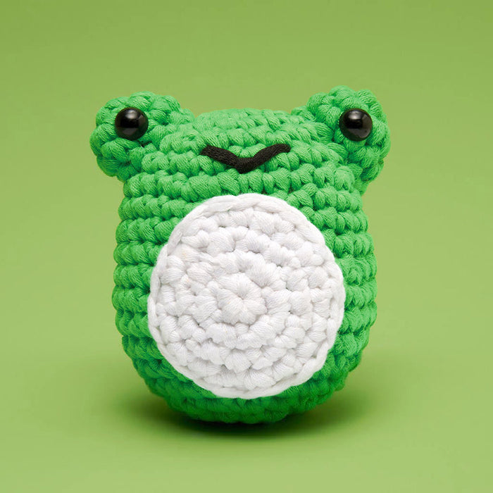 Henri the Frog DIY Crochet Kit