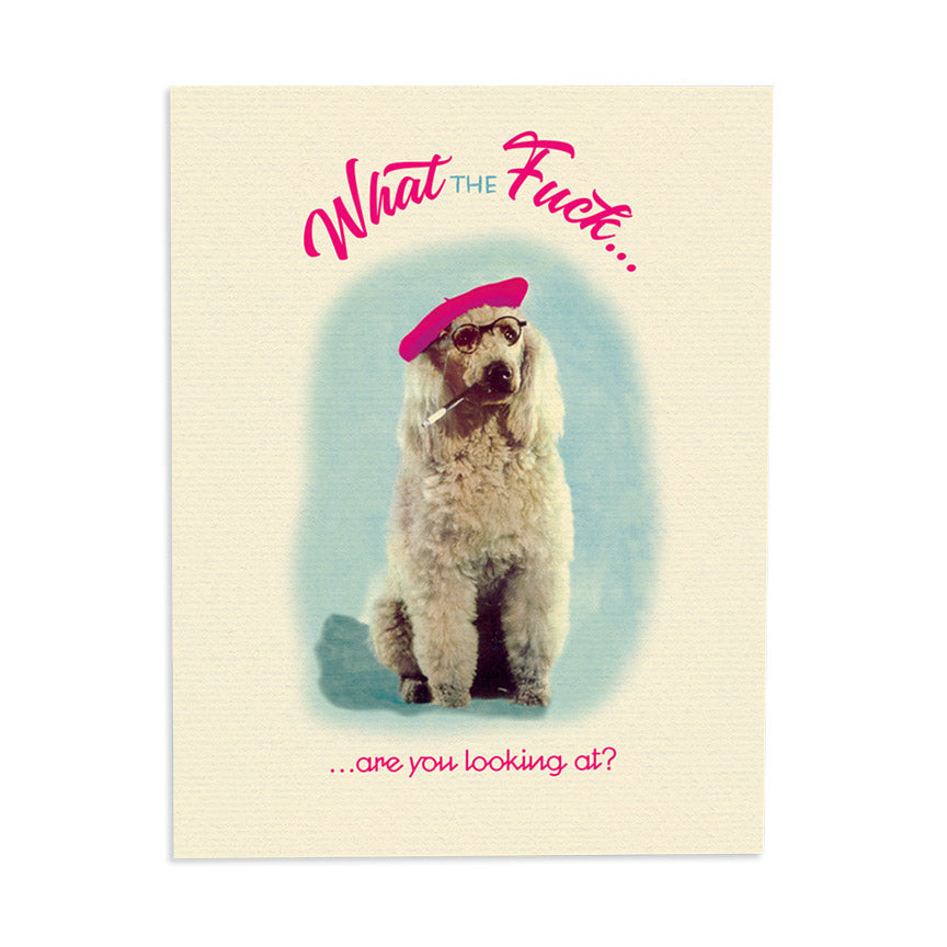 Cool Poodle Card